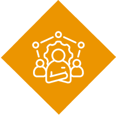 Interim Management